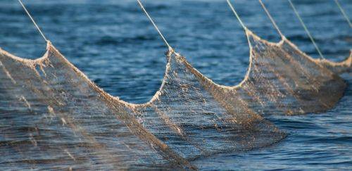 Câmara avança com acordo para coibir a pesca INN no País