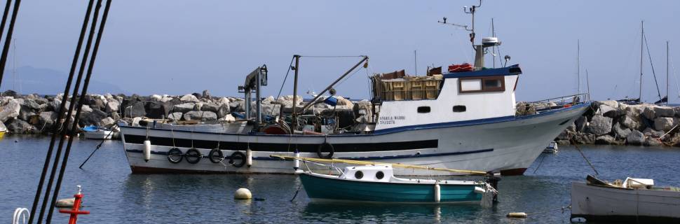 Reunião da OMC sobre os subsídios à pesca termina sem acordo