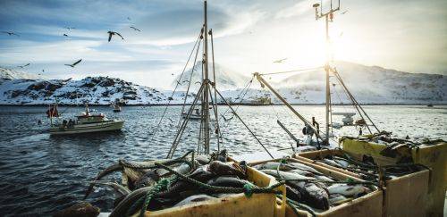 As reduções de cotas, mas não de desafios As reduções de cotas, mas não de desafios