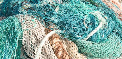 MMA traz de volta Portaria 445 e revoga CONSERVA+