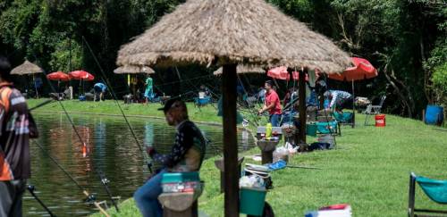 Pesqueiros se ressentem dos reflexos da pandemia Pesqueiros se ressentem dos reflexos da pandemia