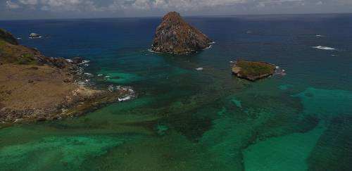 Metodologia realiza monitoramento aéreo de cardumes de sardinha Metodologia realiza monitoramento aéreo de cardumes de sardinha