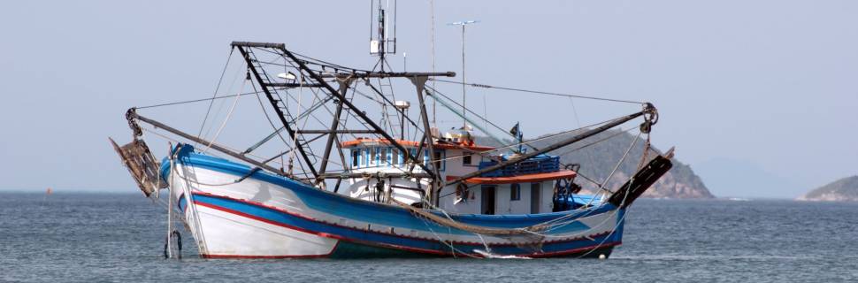 Pesca sustentável avança no mundo, mas cenário no Brasil exige atenção