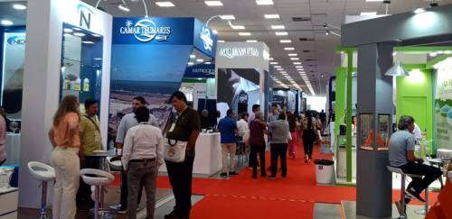 Debates relevantes e novidades entre os destaques da Fenacam 22 