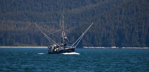 Indústria dos EUA e UE pede tempo e flexibilidade no sistema CATCH
