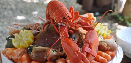 Normativas e atualizações na cadeia produtiva do pescado na UE