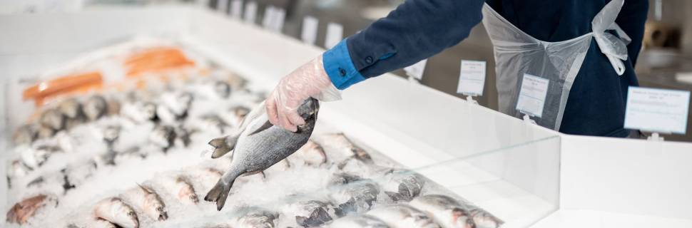 >Reforma Tributária regulamentada: Pescado tem vitórias e desafios Reforma Tributária regulamentada: Pescado tem vitórias e desafios