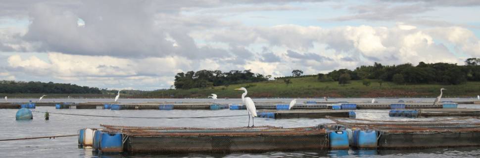 Segurança do trabalho na aquicultura e seu impacto na estratégia ESG