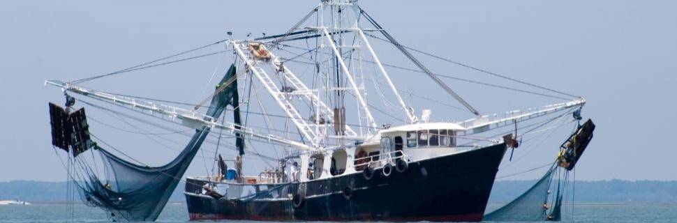 MPA destaca pesca sustentável como estratégia na conservação oceânica