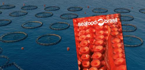 9º Anuário Seafood Brasil Produtos, Serviços e Conteúdo já está no ar