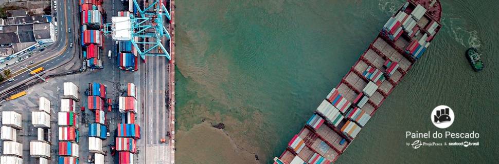 Receita de exportação de pescado brasileiro salta 7,57% em outubro