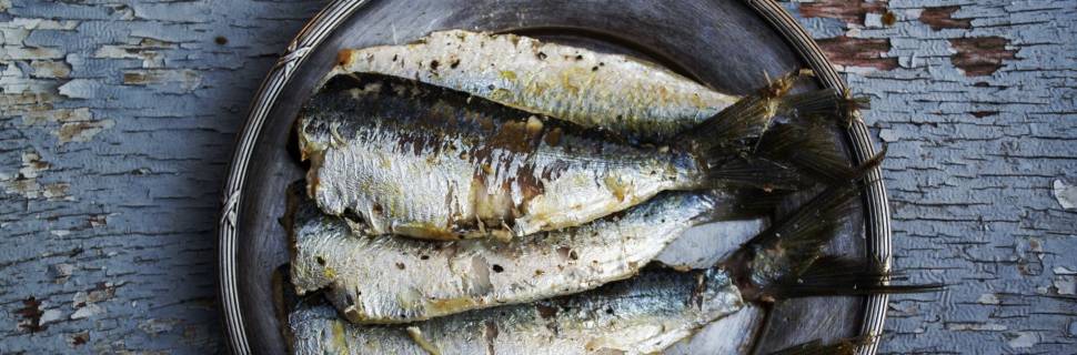 >Sardinha-verdadeira e caranguejo-uçá em defeso: prazos e declaração Sardinha-verdadeira e caranguejo-uçá em defeso: prazos e declaração