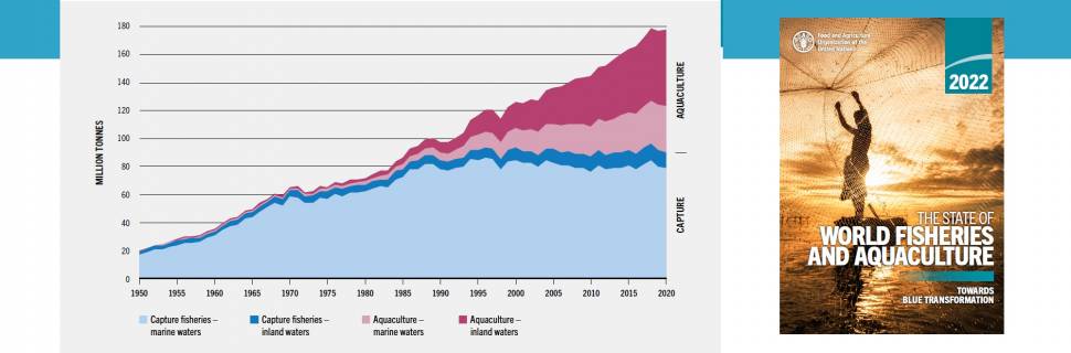 >FAO/Sofia 2022: produção global da aquicultura cresce e capturas caem FAO/Sofia 2022: produção global da aquicultura cresce e capturas caem