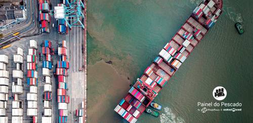 Brasil aumenta em 63,08% pescado exportado para a Argentina