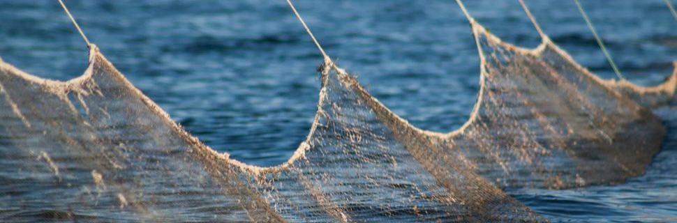 Câmara avança com acordo para coibir a pesca INN no País