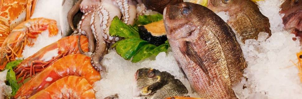 Produtores esperam boas vendas de pescado para a Semana Santa