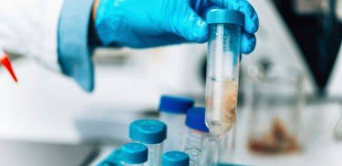 A transformação azul pela ótica da pesquisa A transformação azul pela ótica da pesquisa