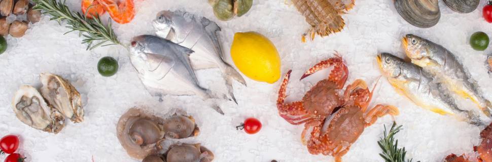 Devemos nos preocupar com a presença de arsênio no pescado? – Pt. 01