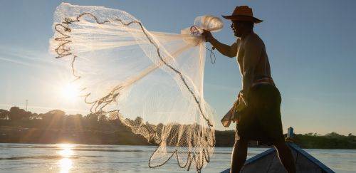 Samarco lança plataforma de indenizações a pescadores e aquicultores 