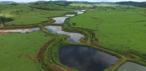 De onde vem a costelinha de tambaqui vencedora em Boston?