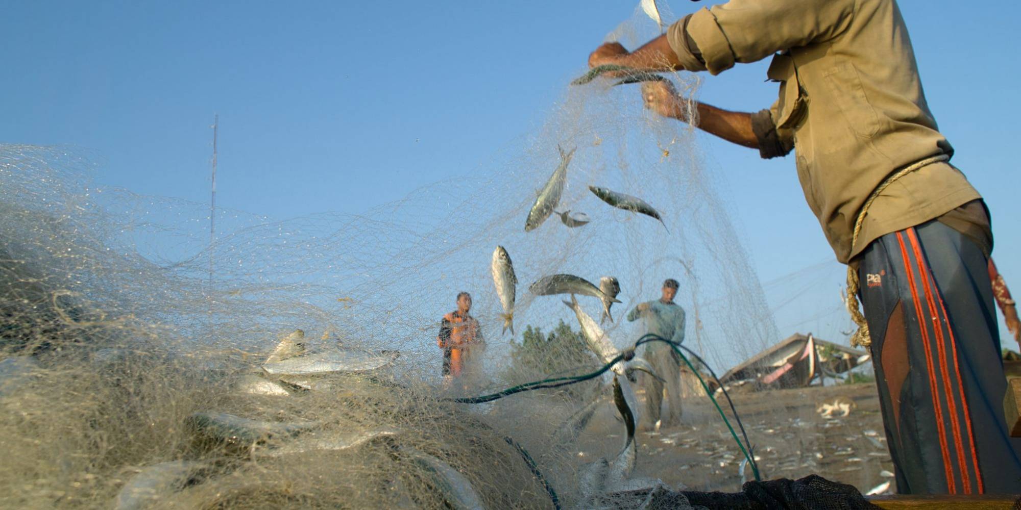 Investigação da PF revela golpe nos sistemas do MPA