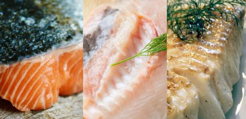 Como tem sido o desempenho da tilápia, salmão e bacalhau em 2022?