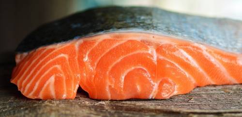 Camanchaca perde mais de 160 mil salmões por proliferação de algas