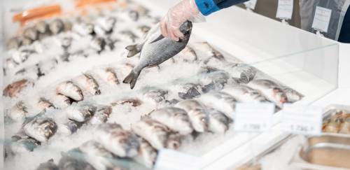 O pescado nas tendências de consumo e no varejo alimentar O pescado nas tendências de consumo e no varejo alimentar