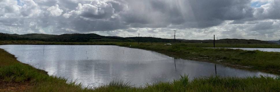 Carapitanga: investimento e ampliação para se manter entre os grandes