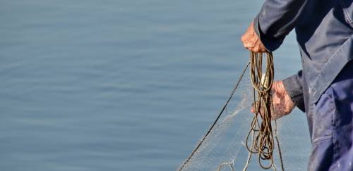 Pesca e aquicultura têm importância para a segurança alimentar global