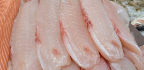 Pescado desafia a inflação e mantém preços estáveis em fevereiro