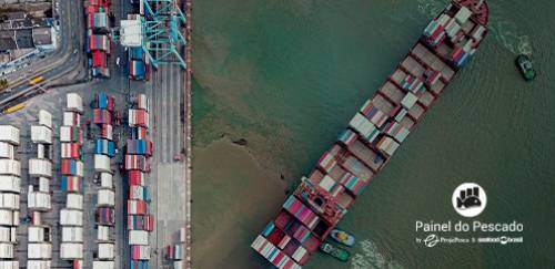 Brasil aumenta receita com exportação de atuns e afins no 1º trimestre