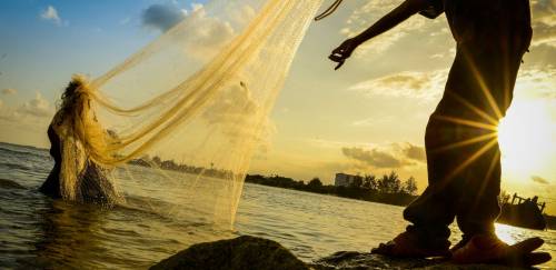 Conheça as organizações que irão compor o CONAPE Conheça as organizações que irão compor o CONAPE