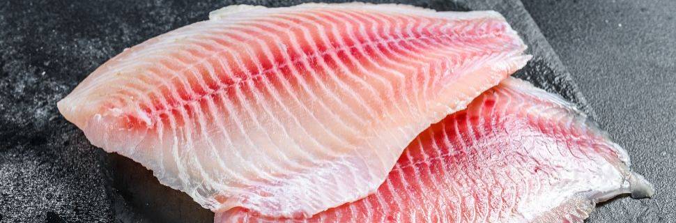 Pesquisa inédita cria protocolos de certificação do filé de tilápia 