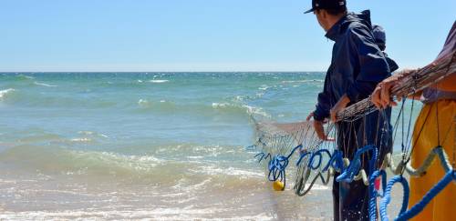 Com base em SisRGP, Boletim Prohort traça perfil do pescador no Brasil