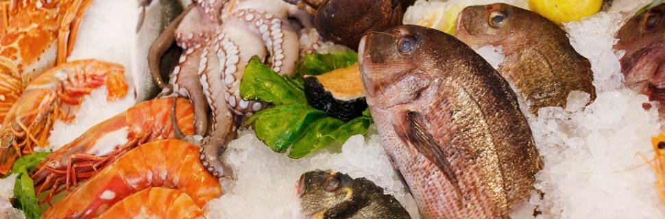 Workshop trará temas da cadeia produtiva do pescado entre Brasil e UE