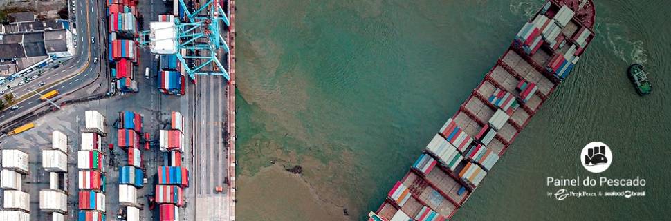 Brasil aumenta em 63,08% pescado exportado para a Argentina