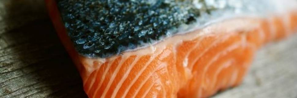 >A possível entrada da JBS no setor de aquicultura A possível entrada da JBS no setor de aquicultura