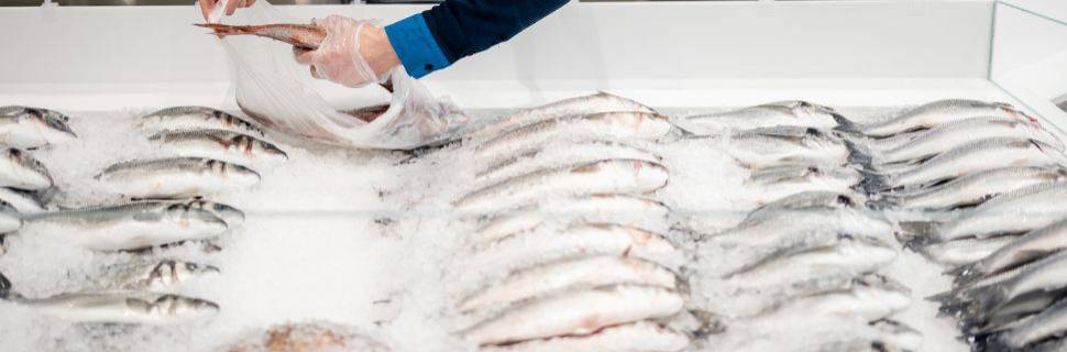 Fraude por troca de espécies: problema global com consequências sérias