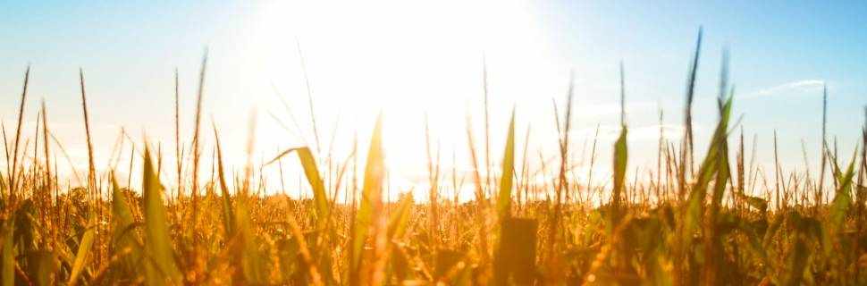 Plano Safra 23/24: Mais de R$ 208,5 bi para pescadores e aquicultores