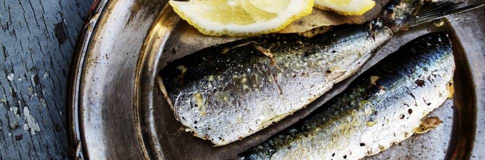 Selo Arte do Pescado deverá levar produtos a todo País 