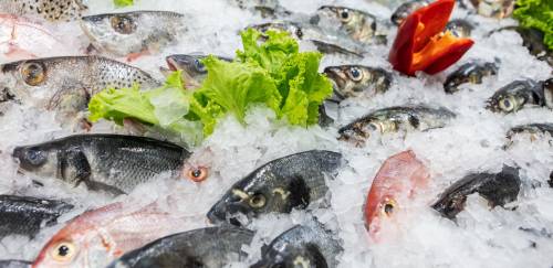 Como atingir o padrão de qualidade de grandes redes varejistas?