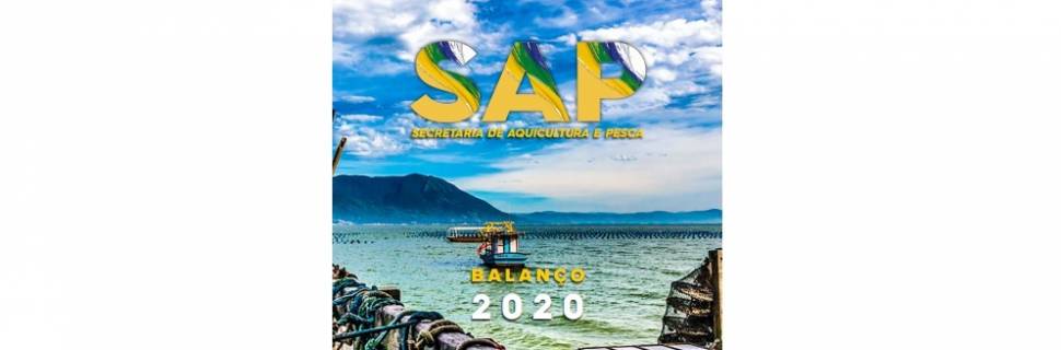 SAP lança segunda edição do Balanço 2020