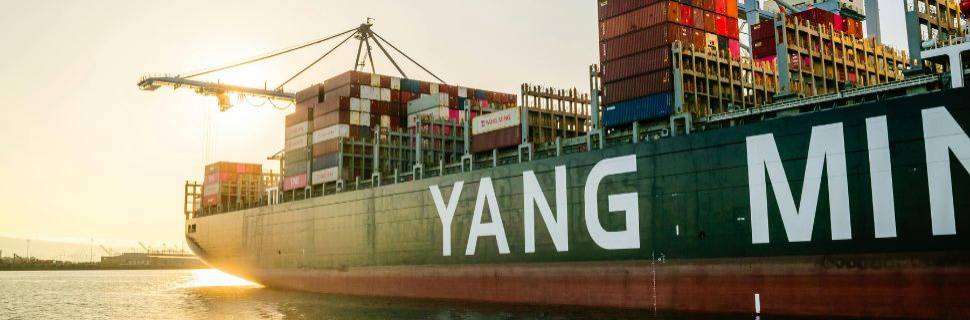 Do mar à gôndola: como funciona a logística do pescado importado 