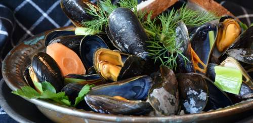 Com aquicultura 4.0, MSB busca novo significado para maricultura