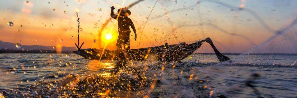 Por que a gestão da pesca brasileira segue paralisada?