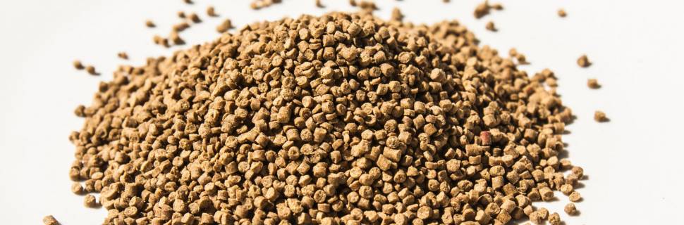 >Produção de ração para aquicultura deve atingir 1,5 mi de toneladas Produção de ração para aquicultura deve atingir 1,5 mi de toneladas