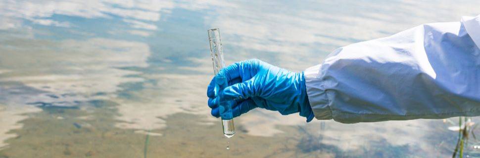 Banco Técnico-Científico do MPA abre chamamento público Banco Técnico-Científico do MPA abre chamamento público