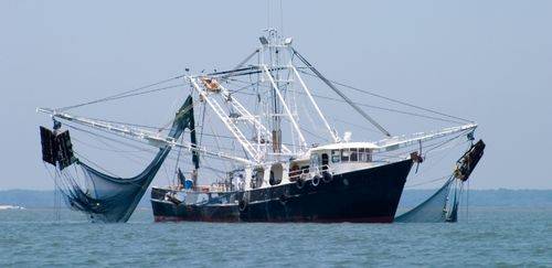 MPA destaca pesca sustentável como estratégia na conservação oceânica