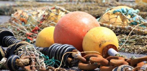 Retorno dos Comitês Permanentes de Gestão: promessa ou realidade?